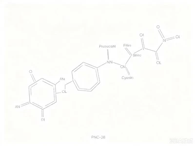 CAS:392661-17-5:PNC-28
